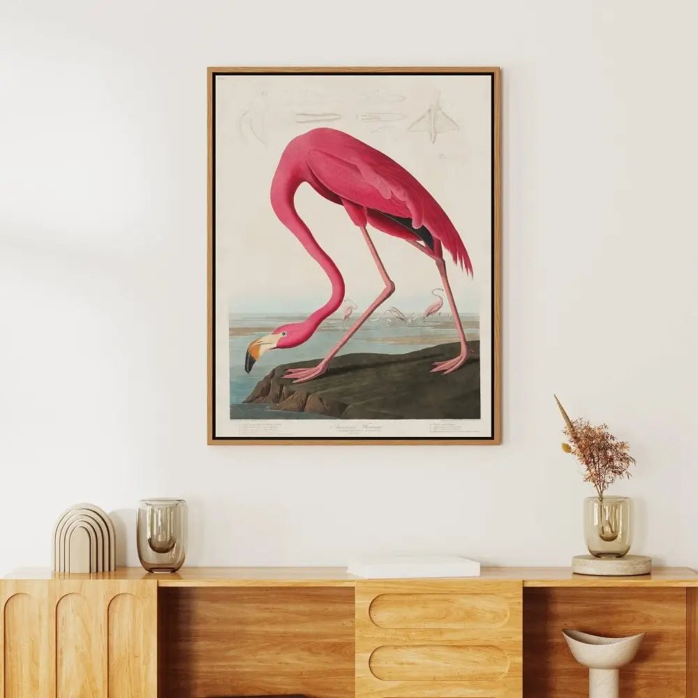 American FlamingoJasmine Arts