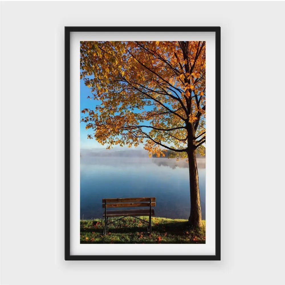 Bench By The Lake And Tree FallJasmine Arts