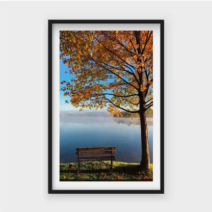 Bench By The Lake And Tree FallJasmine Arts