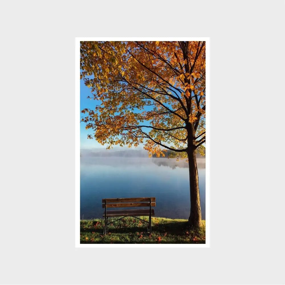 Bench By The Lake And Tree FallJasmine Arts